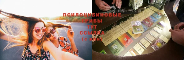 ПСИЛОЦИБИНОВЫЕ ГРИБЫ Армянск