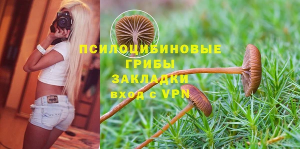 ALPHA PVP Алзамай